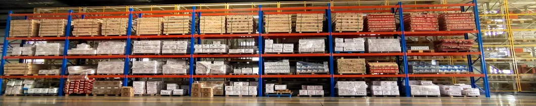 Auto Intelligent Design Radio Shuttle Racking Warehouse Shelving.